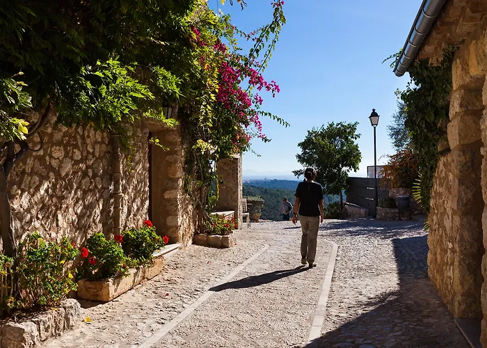 Finca Albellons